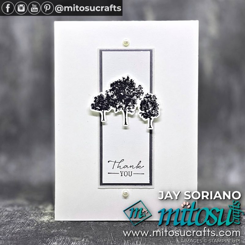 Grassy Grove Black & White Card Idea from Mitosu Crafts by Barry Selwood & Jay Soriano Stampin Up Demonstrators UK France Germany Austria & The Netherlands