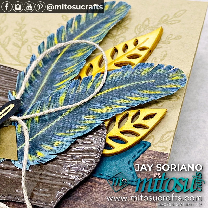 Close Up Feathers of Handmade Masculine Card with Tasteful Touches for Stamp Review Crew from Mitosu Crafts UK by Barry Selwood & Jay Soriano Independent Stampin' Up! Demonstrators
