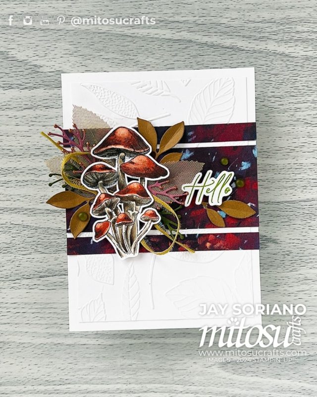 Hello Autumn Mushrooms Inspirational Sketches Card Making Idea Mitosu Crafts by Barry & Jay Soriano Stampin' Up! UK France Germany Austria Netherlands Belgium Ireland