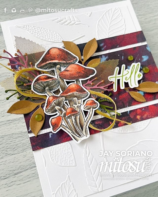 Hello Autumn Mushrooms Inspirational Sketches Card Making Idea Mitosu Crafts by Barry & Jay Soriano Stampin' Up! UK France Germany Austria Netherlands Belgium Ireland