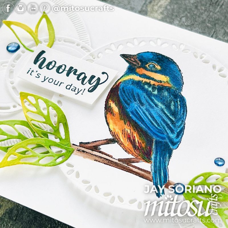 Inspirational Sketches Stampin Blends Colouring Bird Card Idea Mitosu Crafts by Barry & Jay Soriano Stampin' Up! UK France Germany Austria Netherlands Belgium Ireland