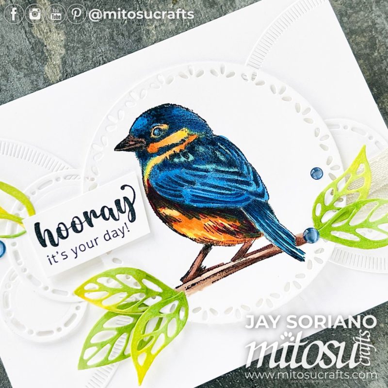 Inspirational Sketches Stampin Blends Colouring Bird Card Idea Mitosu Crafts by Barry & Jay Soriano Stampin' Up! UK France Germany Austria Netherlands Belgium Ireland