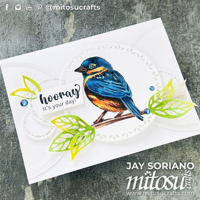 Inspirational Sketches Stampin Blends Colouring Bird Card Idea Mitosu Crafts by Barry & Jay Soriano Stampin' Up! UK France Germany Austria Netherlands Belgium Ireland