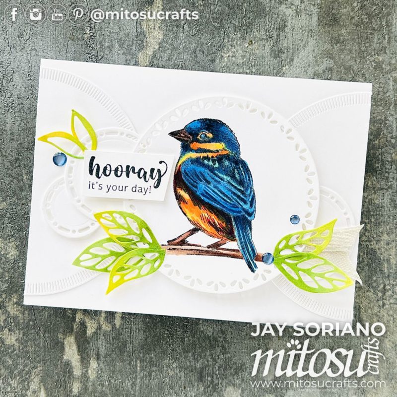 Inspirational Sketches Stampin Blends Colouring Bird Card Idea Mitosu Crafts by Barry & Jay Soriano Stampin' Up! UK France Germany Austria Netherlands Belgium Ireland