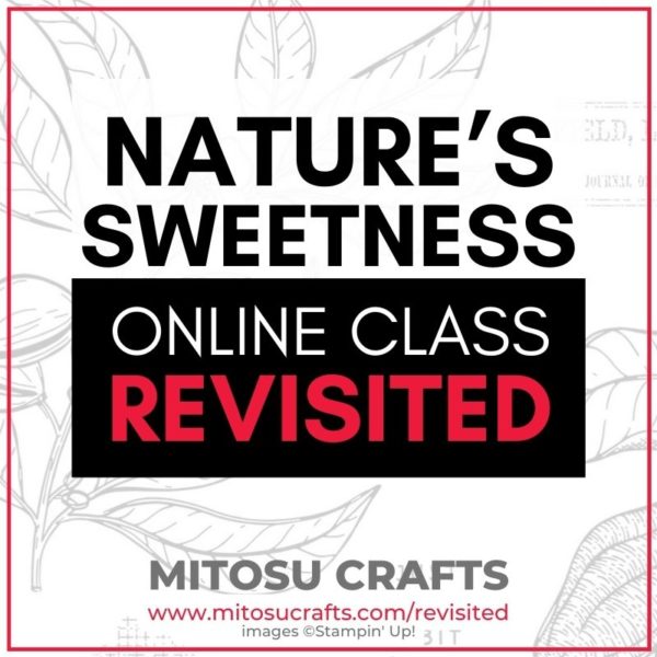 Nature's Sweetness Card Making Online Class Revisited with Stampin Up Craft Supplies from Mitosu Crafts UK