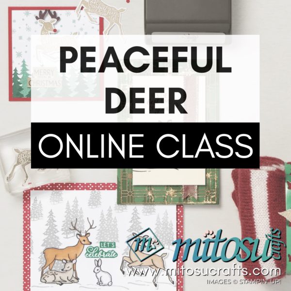 Peaceful Deer Card Making Online Class with Mitosu Crafts UK by Barry & Jay Soriano Stampin' Up! Demo