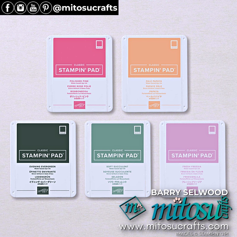 New 2021-2022 In Colors from Mitosu Crafts Independent Stampin Up Demonstrators