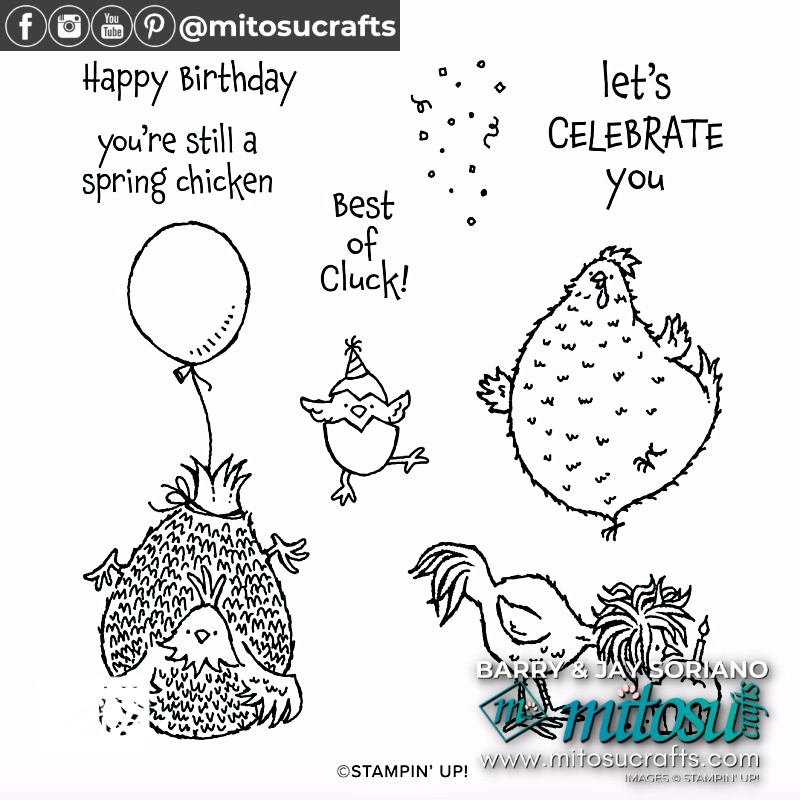 Simple Stamping With Hey Birthday Chick & Barry and Jay from Mitosu Crafts UK Independent Stampin Up Demonstrators