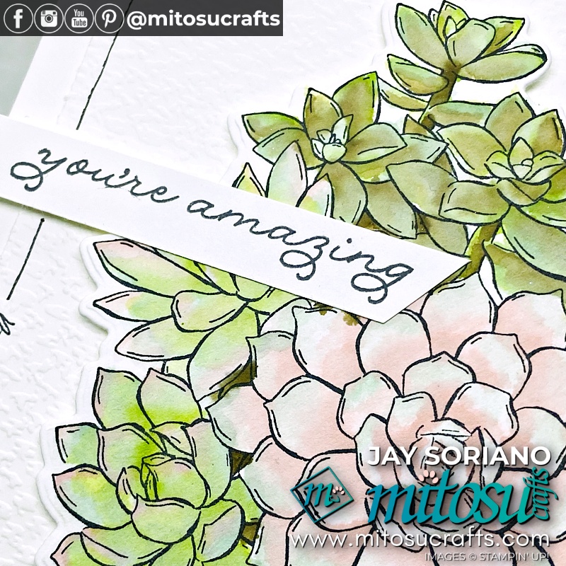 Simply Succulents in Watercolour Simple Card Idea for Stamp Review Crew from Mitosu Crafts UK by Barry Selwood & Jay Soriano Independent Stampin Up Demonstrators