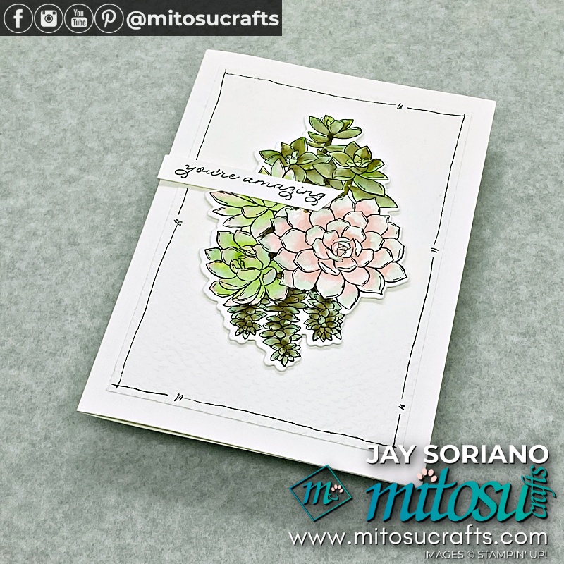 Simply Succulents in Watercolour Simple Card Idea for Stamp Review Crew from Mitosu Crafts UK by Barry Selwood & Jay Soriano Independent Stampin Up Demonstrators