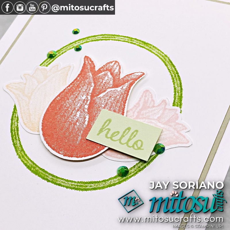 #simplestamping Spring Fling Cards with Timeless Tulips by Stampin Up from Mitosu Crafts UK by Barry Selwood & Jay Soriano Independent Stampin' Up! Demonstrators
