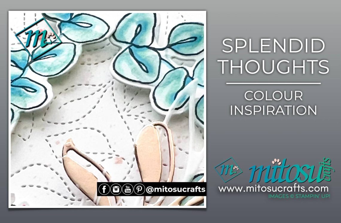 Stampin Blends Colouring Splendid Thoughts Colour Inspiration from Mitosu Crafts by Barry Selwood & Jay Soriano Stampin Up Demonstrators UK France Germany Austria The Netherlands Belgium Ireland