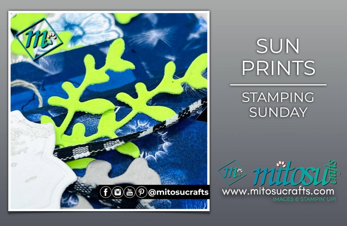 Sun Prints Suite Inspiration Projects from Mitosu Crafts by Barry Selwood & Jay Soriano Stampin' Up! Demonstrators UK France Germany Austria The Netherlands Belgium Ireland