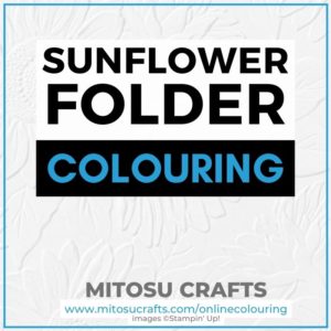 Sunflower Folder Virtual Online Colouring Class Barry & Jay Soriano Mitosu Crafts Stampin Up UK