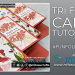 Tri Fold Card Tutorial #funfoldfriday from Barry & Jay Soriano Mitosu Crafts Independent Stampin Up Demonstrators UK