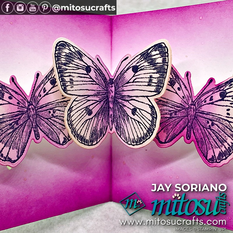 Inside Close Up Of Horizontal Pop Up Butterfly Card with Butterfly Brilliance from Mitosu Crafts UK by Barry Selwood & Jay Soriano Independent Stampin' Up! Demonstrators