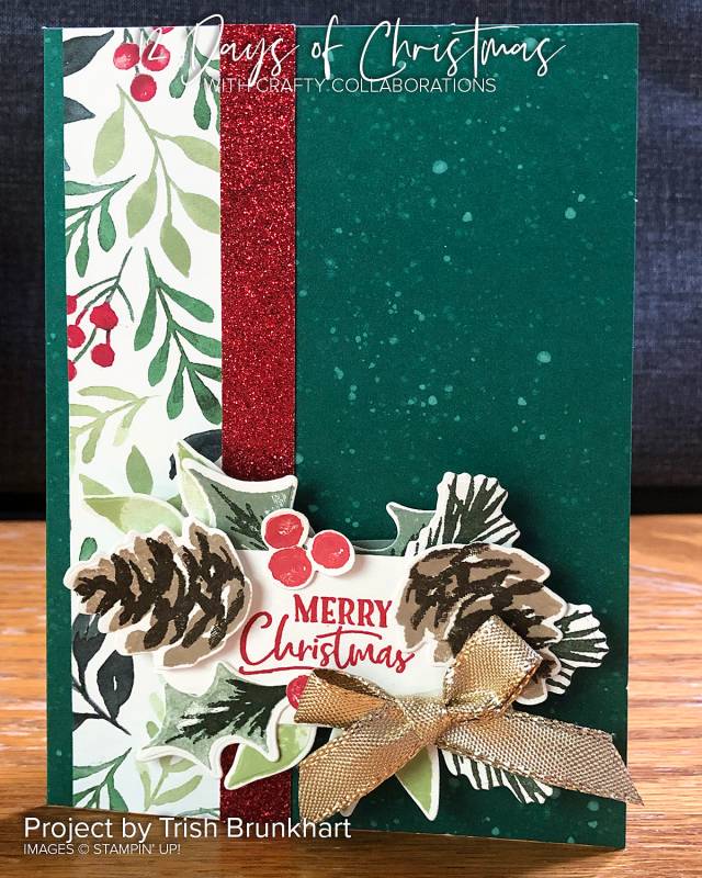 Trish Brunkhart Design 12 Weeks of Christmas Ideas from Mitosu Crafts by Barry & Jay Soriano Stampin Up Demonstrator
