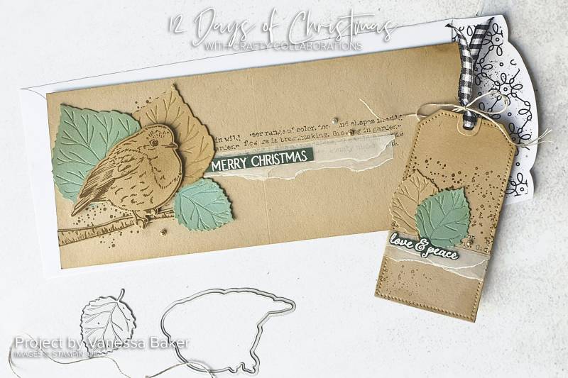 Vanessa Baker Design 12 Weeks of Christmas Ideas from Mitosu Crafts by Barry & Jay Soriano Stampin Up Demonstrator